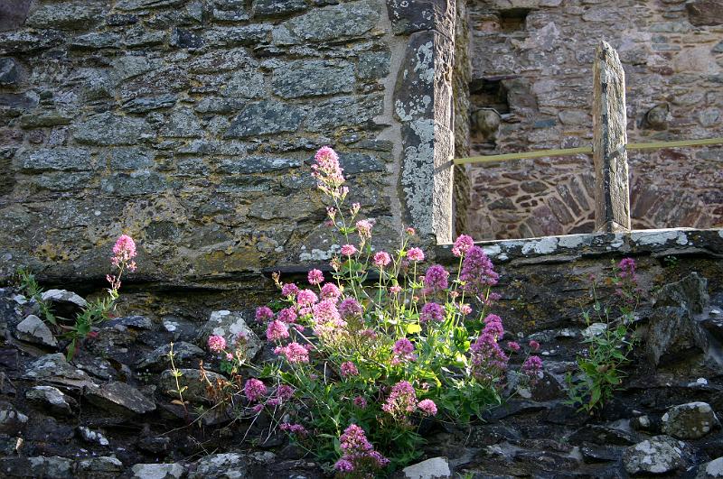 Wales (32).JPG